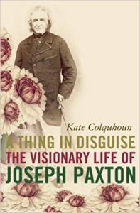 Cover of A Thing in Disguise by Kate Colquhoun