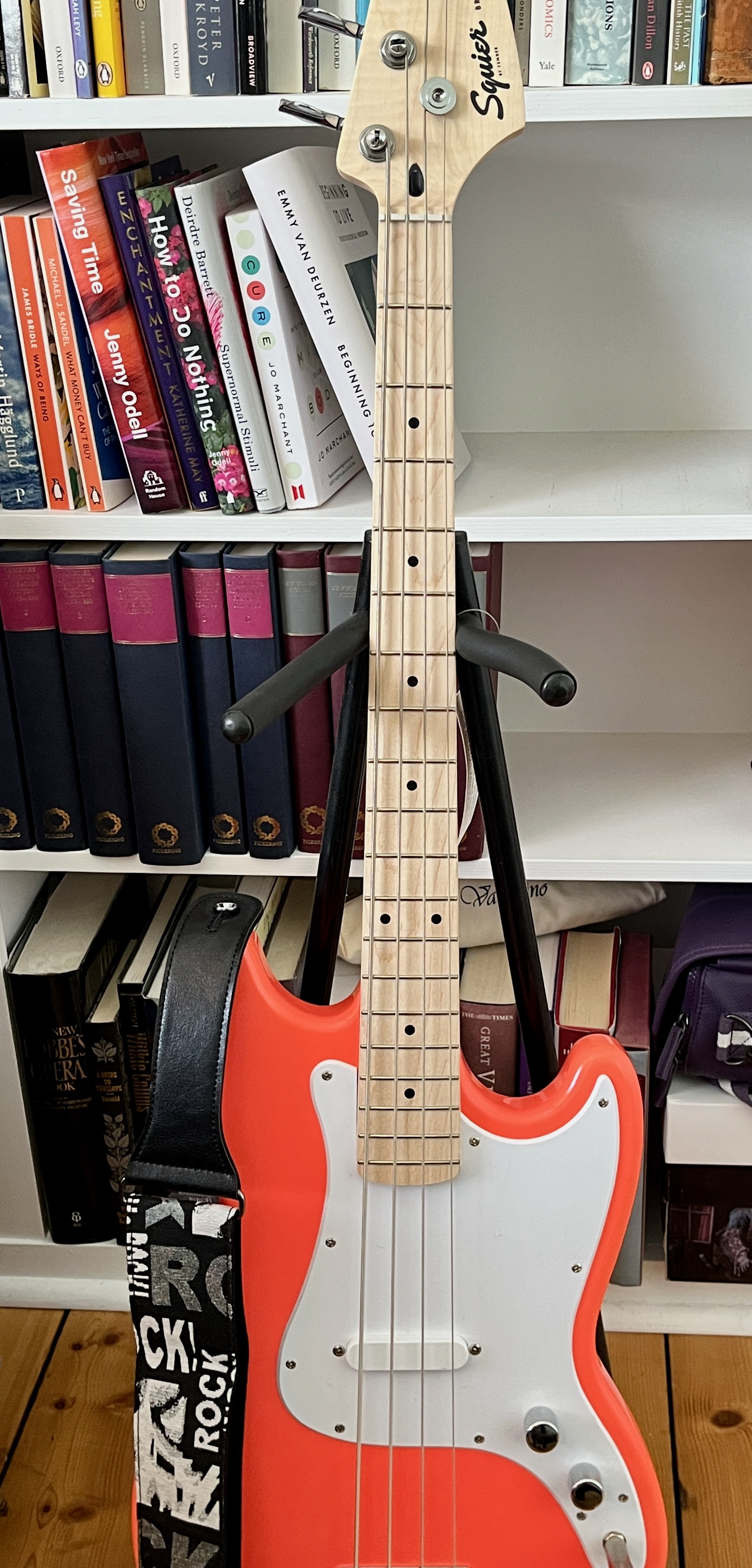 Photo of bass