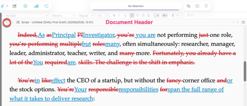 Screenshot of Scrivener Snapshots in Editor