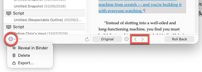 Screenshot of Scrivener Snapshots Manager options
