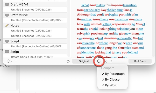 Screenshot of Scrivener Snapshots Manager options