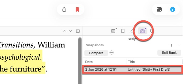 Screenshot of Scrivener Snapshots in Inspector