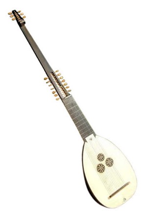Photo of a theorbo